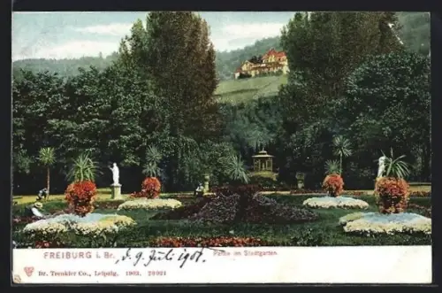 AK Freiburg i. Br., Partie im Stadtgarten