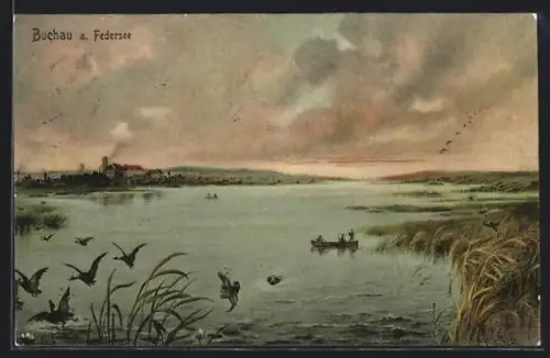 AK Buchau a. Federsee, Vögel am Seeufer