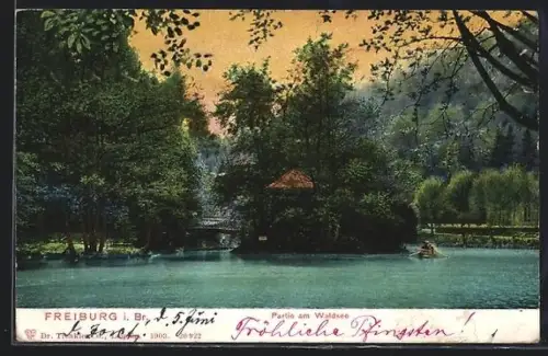 AK Freiburg i. Br., Partie am Waldsee