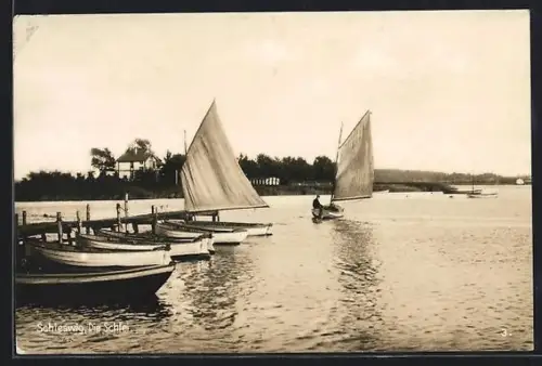 AK Schleswig /Schlei, Segelboote auf der Schlei