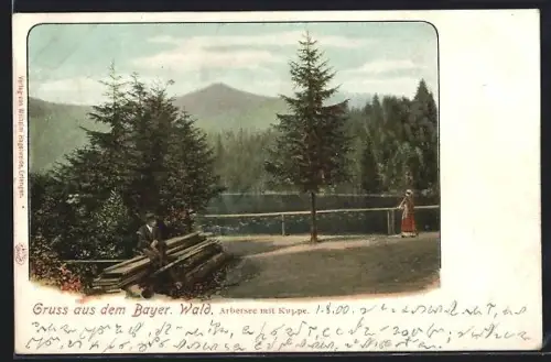AK Arbersee /Bayer. Wald, Arbersee mit Kuppe