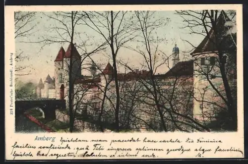 AK Amberg, Partie im Ort