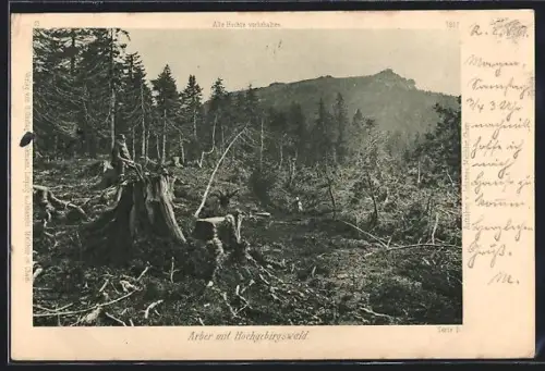AK Arber, Arber Hochgebirgswald