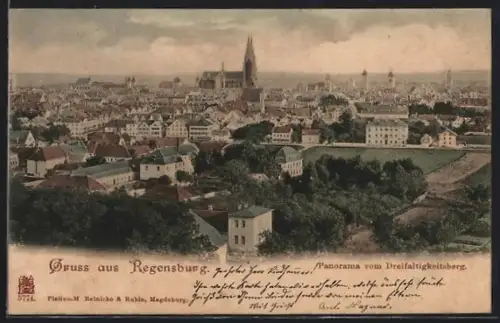 AK Regensburg, Panorama vom Dreifaltigkeitsberg