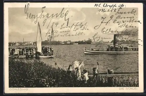 AK Schleswig /Schlei, Segelboote und Dampfer
