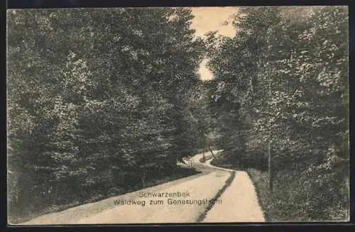 AK Schwarzenbek, Waldweg zum Genesungsheim