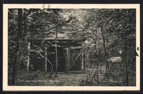 AK Schwarzenbek-Kollow, Rehbockheim