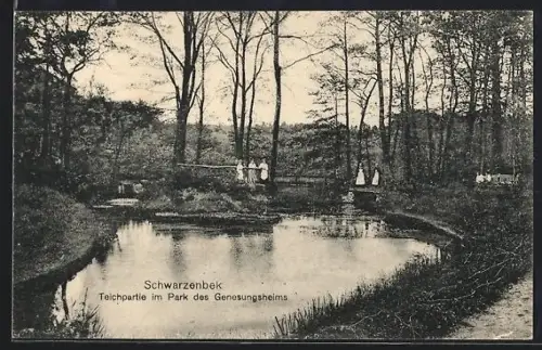 AK Schwarzenbek, Teichpartie im Park des Genesungsheims
