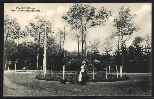 AK Schwarzenbek i. Lbg., Die Lieblinge des Genesungsheims