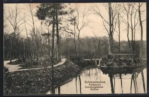 AK Schwarzenbek, Parkpartie vom Genesungsheim Kollow
