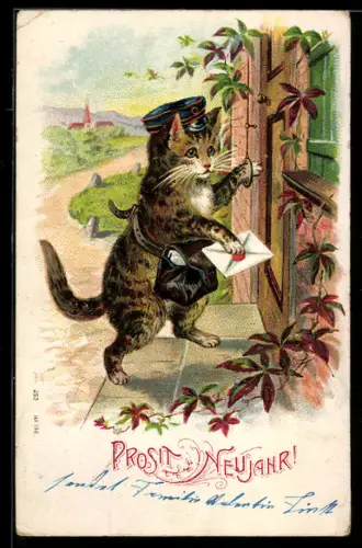 AK Kater als Postbote überbringt einen Brief