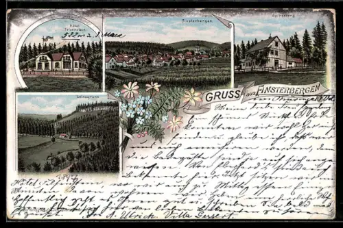 Lithographie Finsterbergen, Hôtel Felsenstein, Spiessberg, Leinagrund