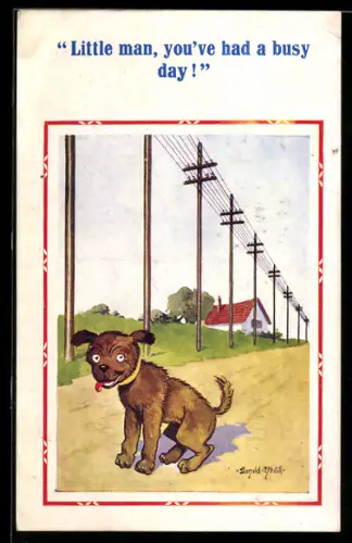 Künstler-AK Donald McGill: Niedlicher Hund auf einem Weg