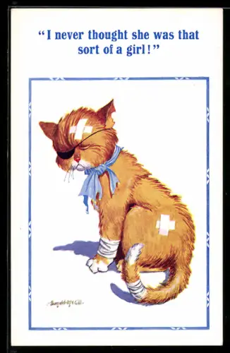 Künstler-AK Donald McGill: Kater mit Augenklappe, Pflastern und Verbänden