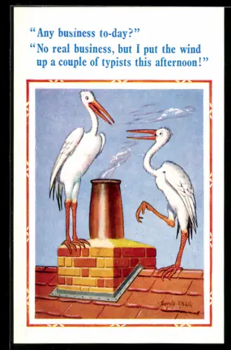 Künstler-AK Donald McGill: Any business to-day?..., Storche auf Dach