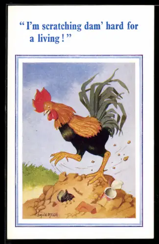 Künstler-AK Donald McGill: Hahn steht auf einem Hügel und scharrt