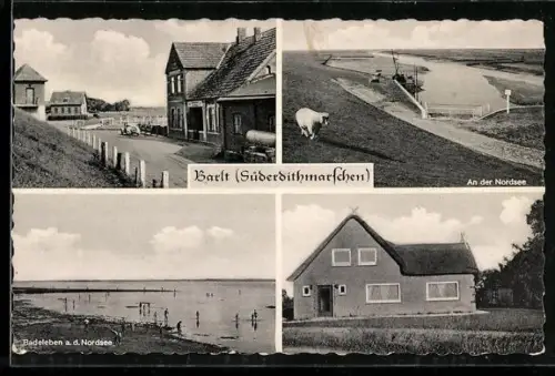 AK Barlt /Süderdithmarschen, Badeleben an der Nordsee, Wohnhaus, Strassenpartie