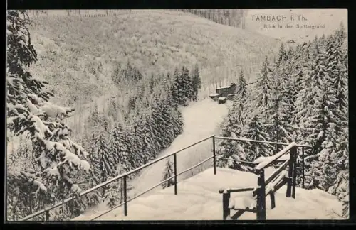 AK Tambach i. Th., Blick in den Spittergrund im Winter