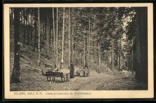 AK Sulz a. N., Charlottenplatz im Pfisterwald