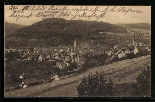 AK Nagold, Totalansicht mit Kirche und Burg