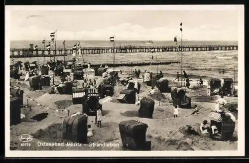 AK Müritz, Strandleben, Seebrücke, Strandkörbe