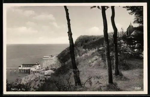 AK Sellin a. Rg., Seebrücke, Steilküste, Ostsee