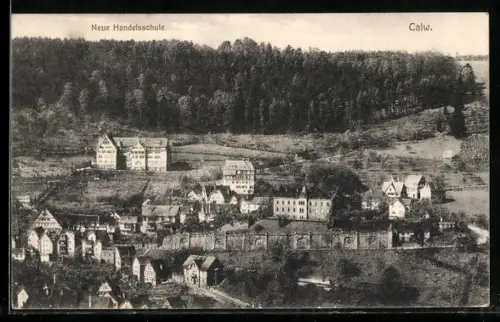 AK Calw, Neue Handelsschule mit Umgebung aus der Vogelschau