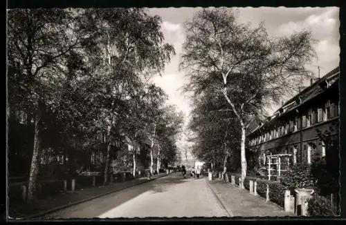 AK Duisburg-Wedau, Birkenweg, Strassenpartie