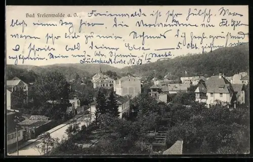 AK Bad Freienwalde a. O., Strassenpartie