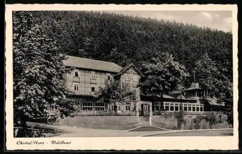 AK Okertal /Harz, Hotel und Pension Waldhaus Fritz Brasching