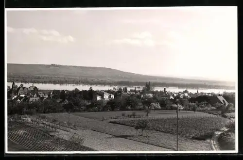AK Geisenheim a. Rh., Blick auf Stadt und Rhein