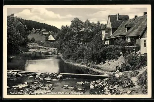 AK Tanne /Harz, Partie an der warmen Bode mit Jägerborn