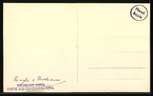 AK Geisenheim a. Rh., Kirche, Rathaus