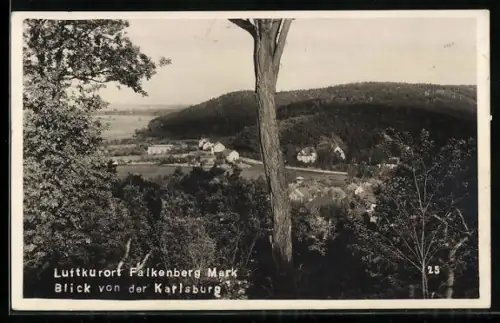 AK Falkenberg /Mark, Blick von der Karlsburg