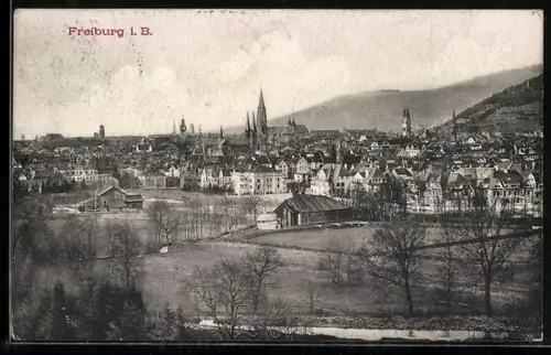 AK Freiburg i. B., Stadtpanorama mit Münster und Stadtturm