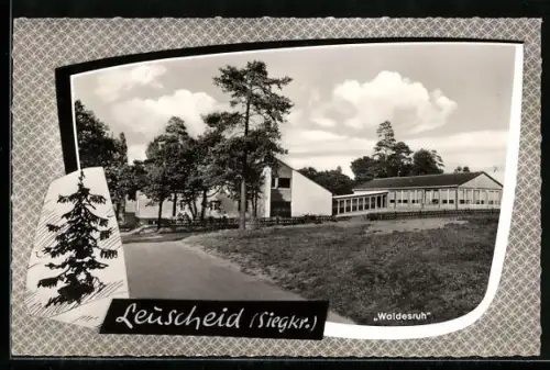 AK Leuscheid /Siegkr., Waldesruh