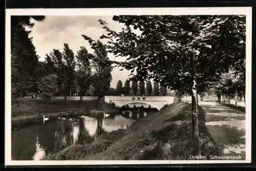 AK Opladen, Schwanenteich