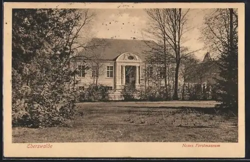 AK Eberswalde, Neues Forstmuseum