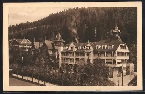 AK St. Blasien, Luisenheim