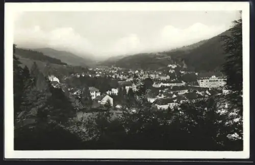 AK Trentschin Teplitz, Panorama