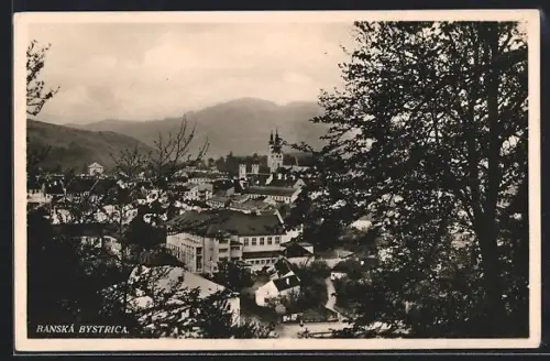 AK Banská Bystrica, Panorama