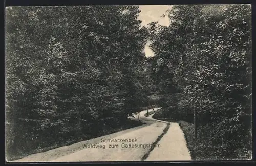 AK Schwarzenbek, Waldweg zum Genesungsheim