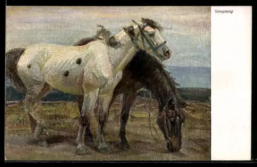 Künstler-AK sign. Max Josef Becker: Zwei versprengte Pferde