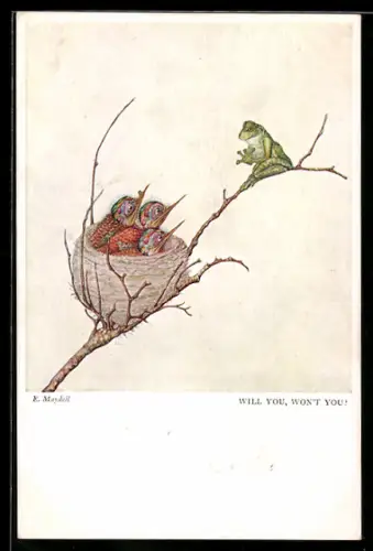 Künstler-AK sign. E. Maydell: Frosch bei Vögeln am Nest