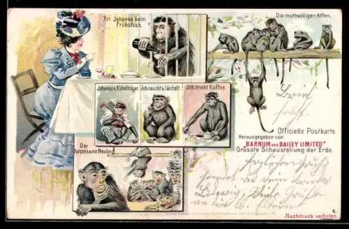 Lithographie Schaustellung Barnum & Bailey Limited, Frl. Johanna beim Frühstück, muthwillige Affen