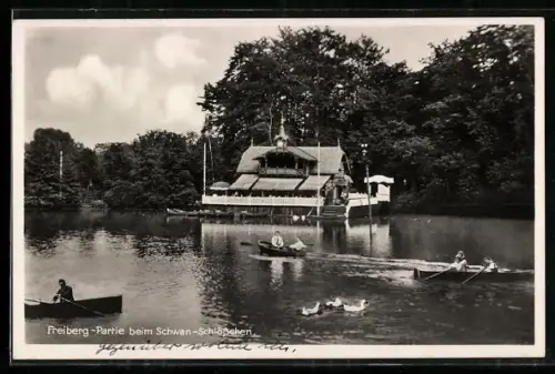 AK Freiberg / Erzgebirge, Partie beim Schwan-Schlösschen