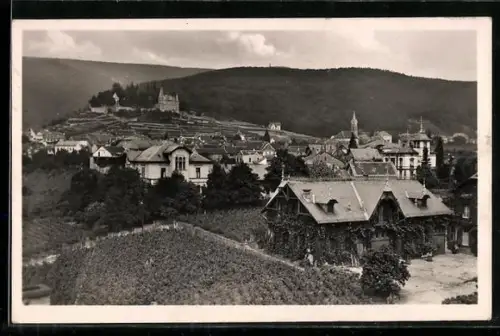 AK Haardt / Weinstrasse, Haardter Schlösschen, Ortsansicht
