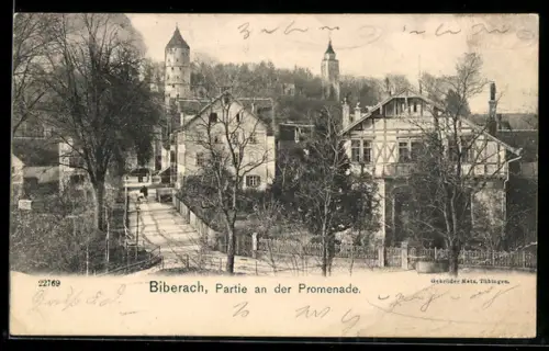 AK Biberach / Riss, Partie an der Promenade