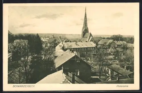 AK Schwarzenbek, Panorama mit Kirche aus der Vogelschau