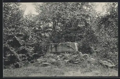 AK Landau, Enschenstein im Wald